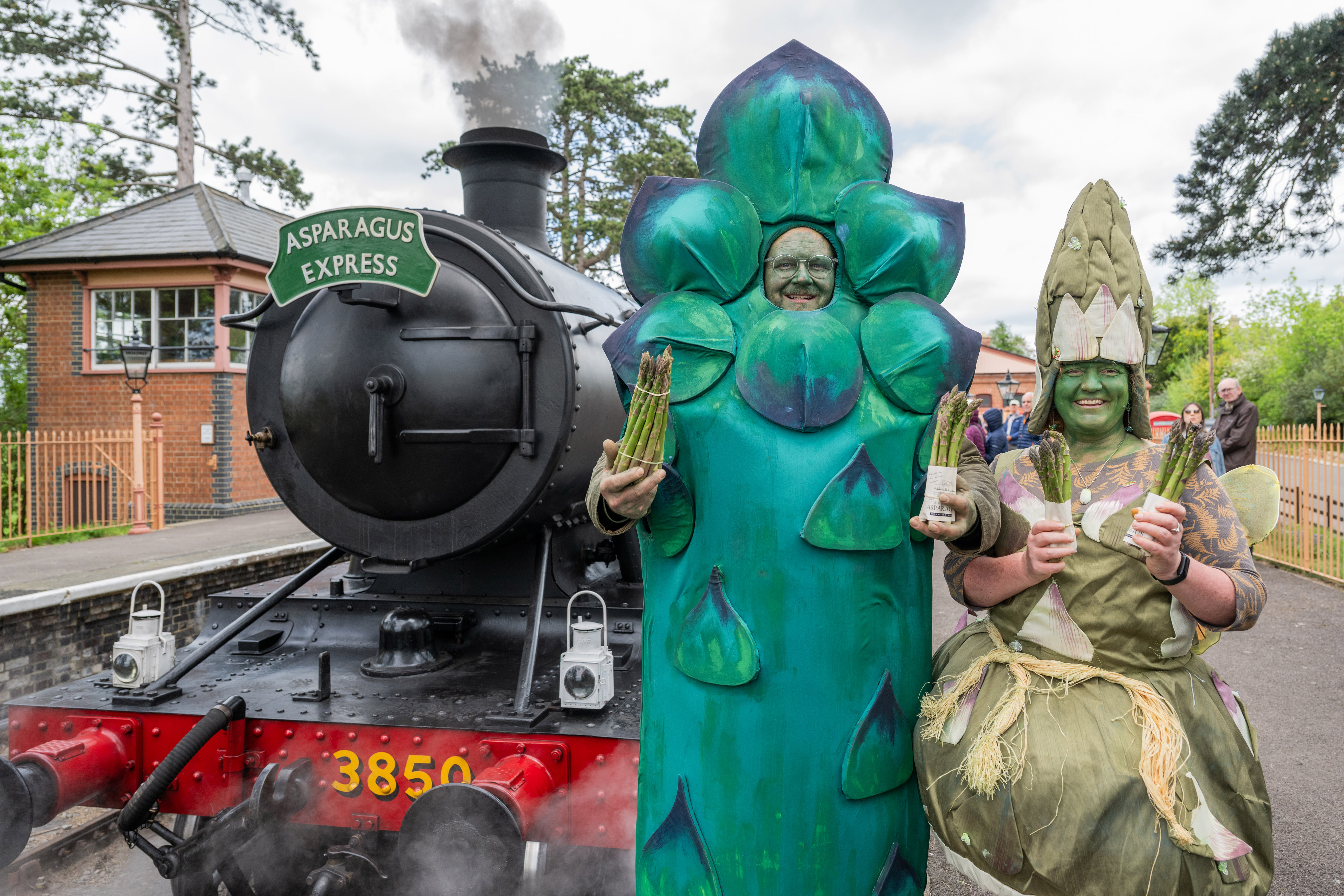 The Asparagus Express