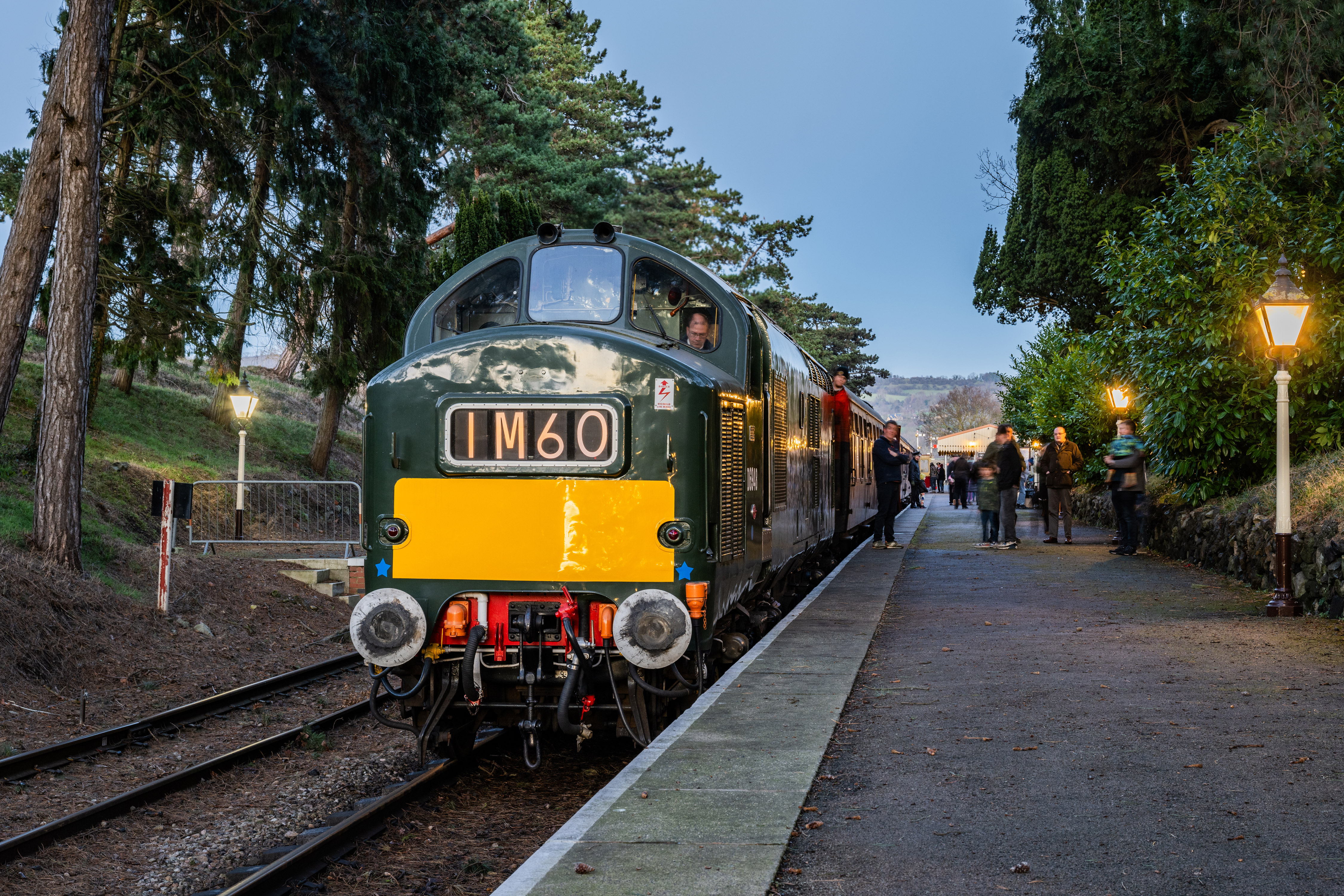 JB_D6948CheltenhamRacecourse02012025-0752 copy.jpg